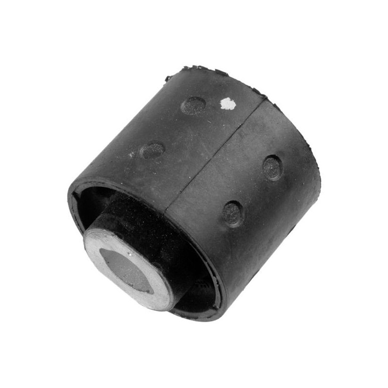 Supporto assale - LEMFORDER