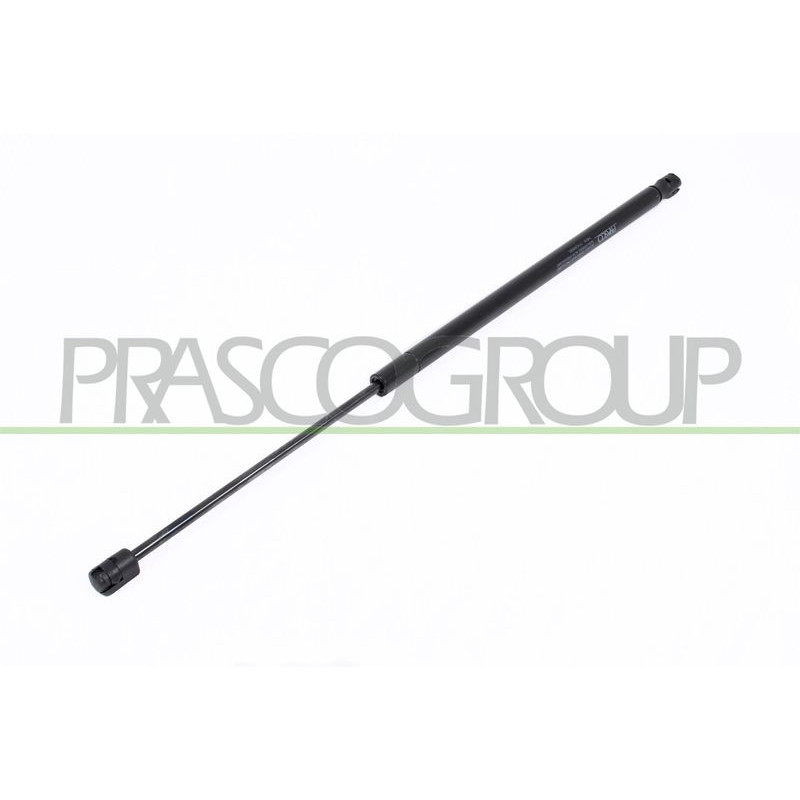 Pistoncino ammortizzatore - PRASCO