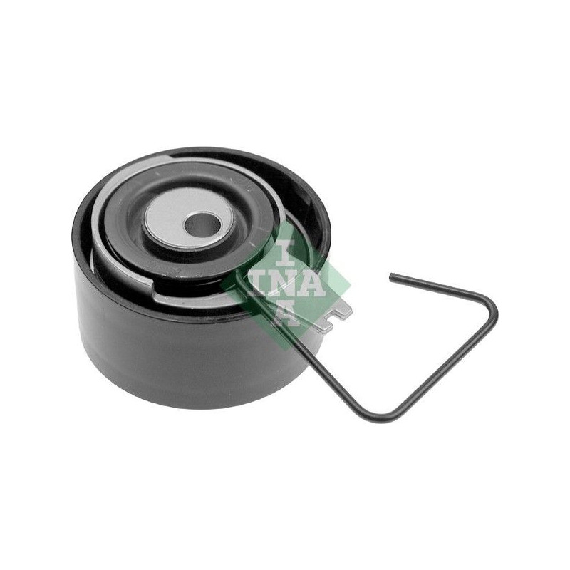 Tendicinghia distribuzione - INA