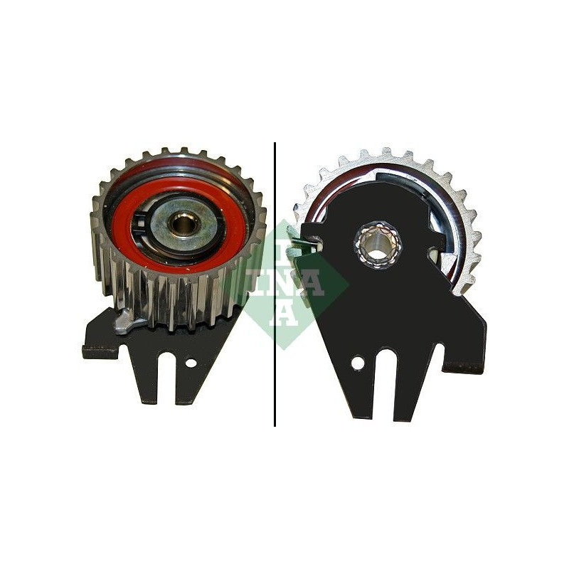 Tendicinghia distribuzione - INA