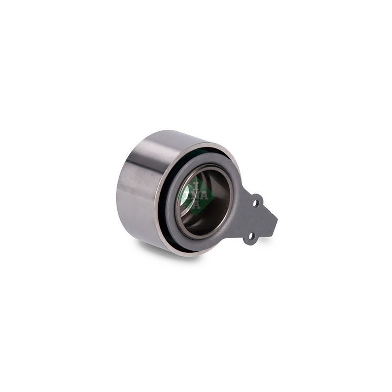 Tendicinghia distribuzione - INA