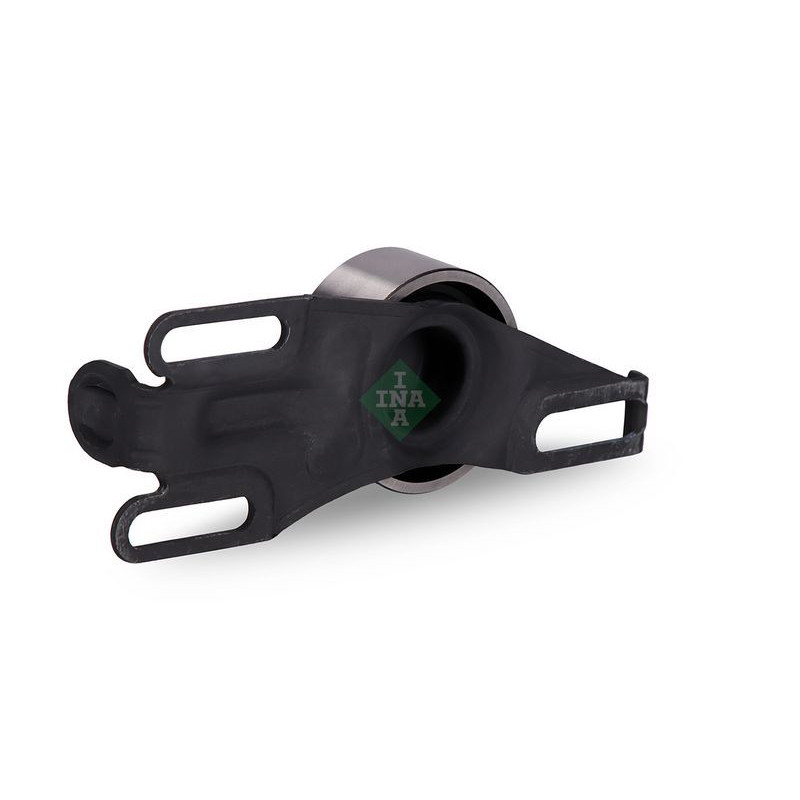 Tendicinghia distribuzione - INA