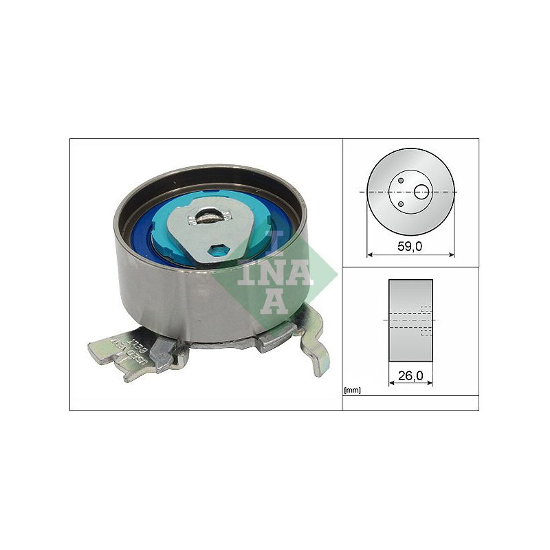 Tendicinghia distribuzione - INA
