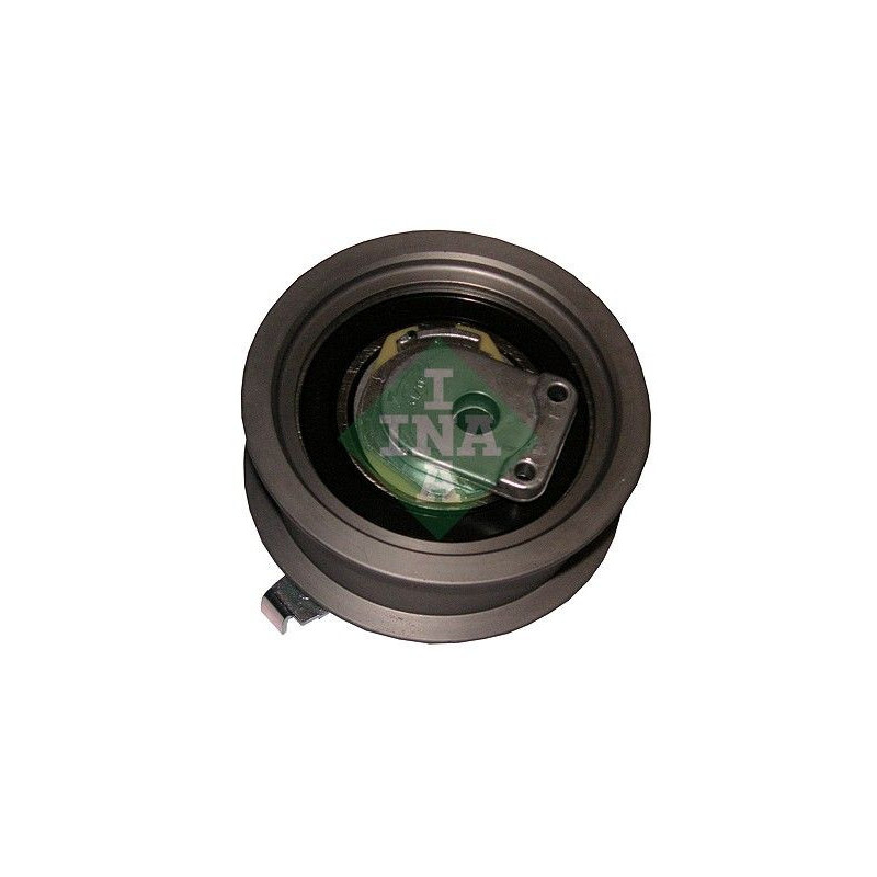 Tendicinghia distribuzione - INA