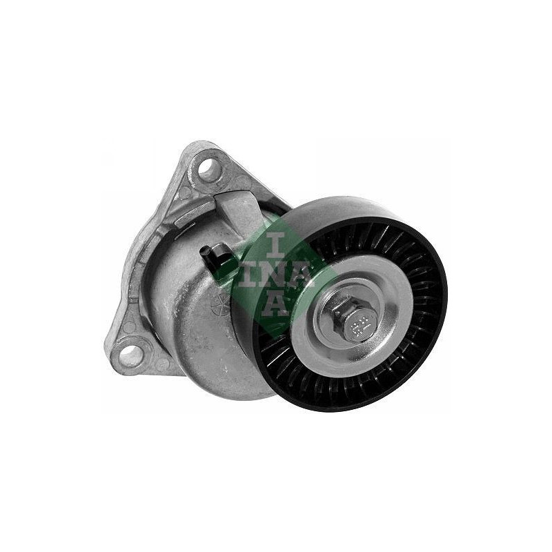 Tendicinghia trapezoidale - INA