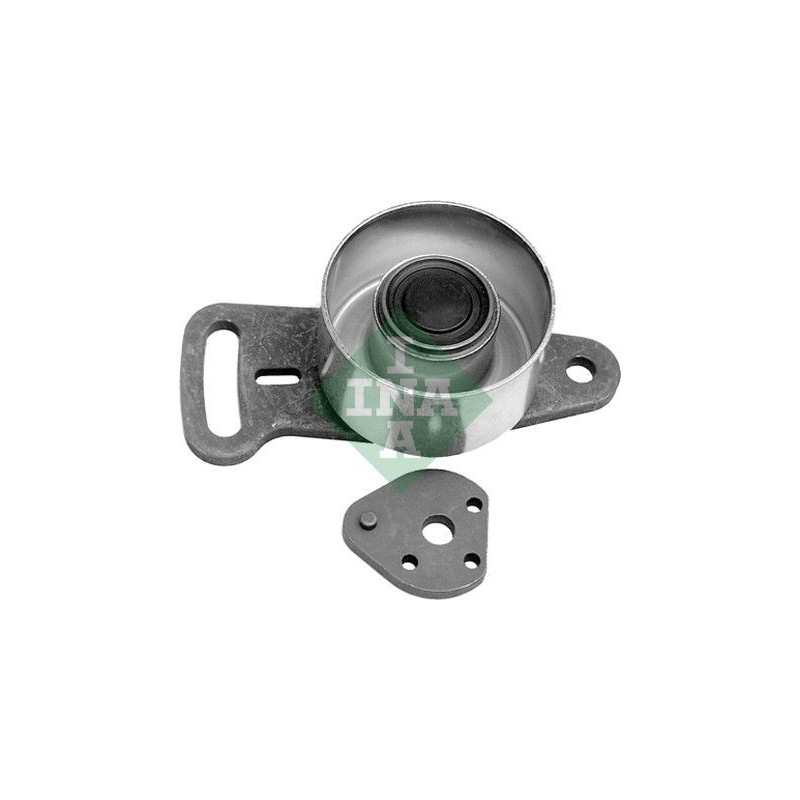 Tendicinghia distribuzione - INA