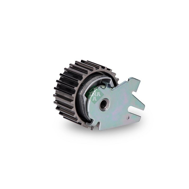 Tendicinghia distribuzione - INA