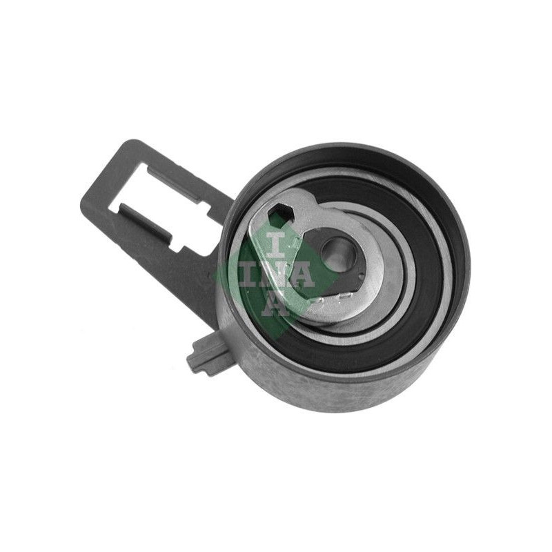 Tendicinghia distribuzione - INA