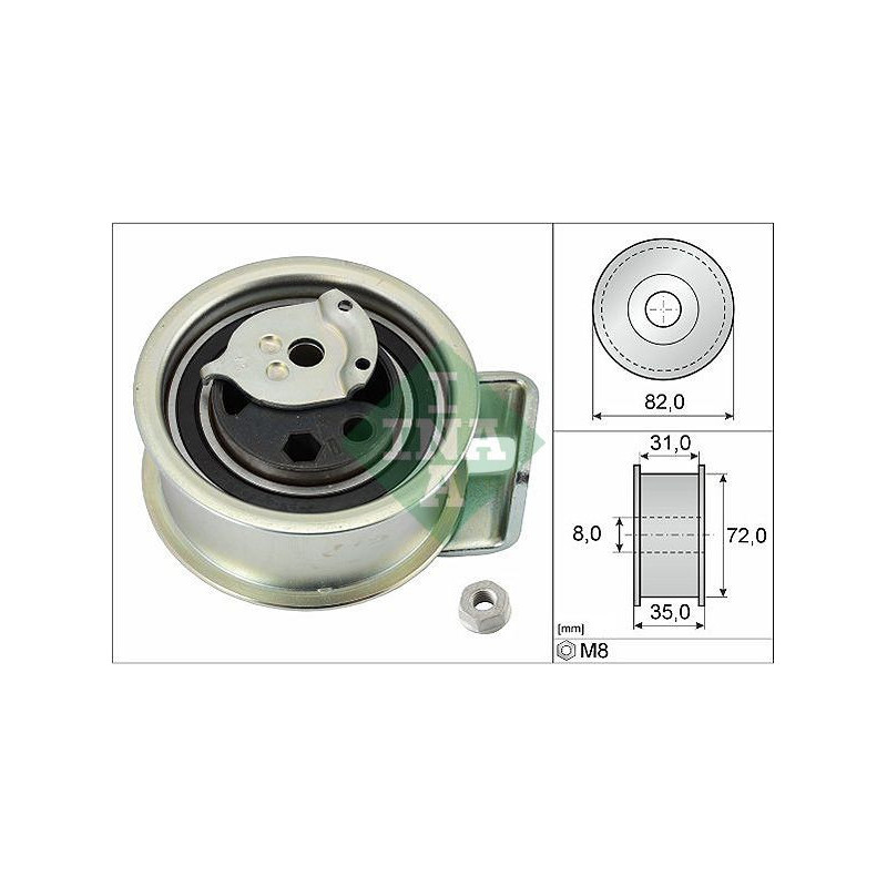 Tendicinghia distribuzione - INA