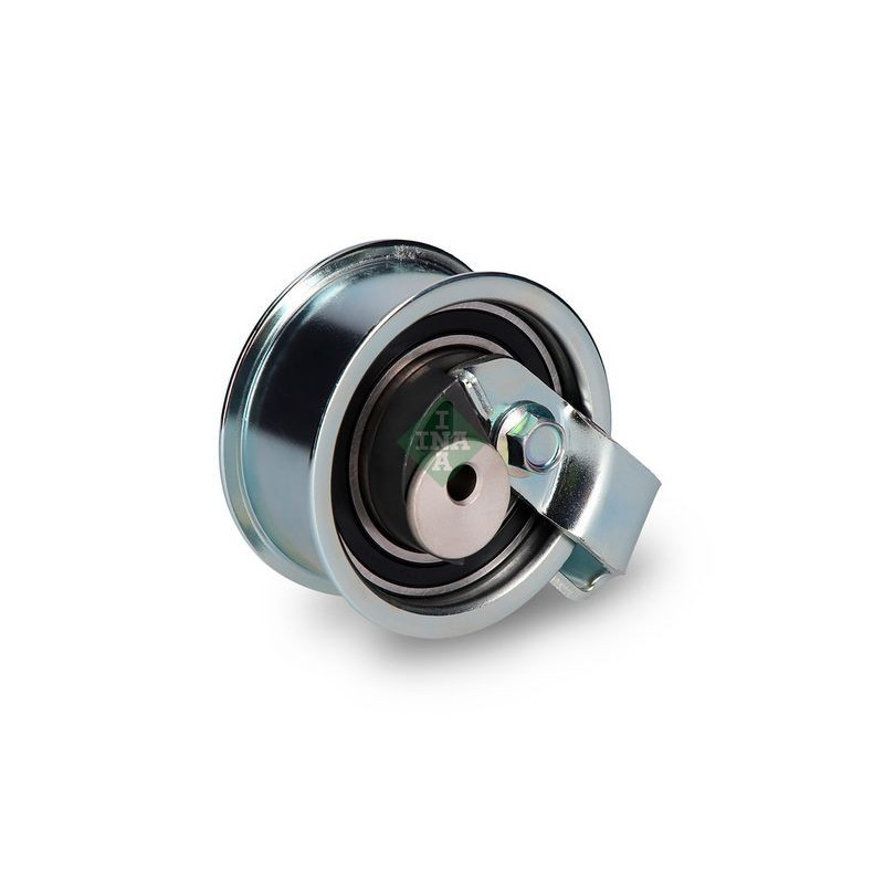 Tendicinghia distribuzione - INA