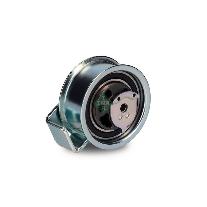 Tendicinghia distribuzione - INA