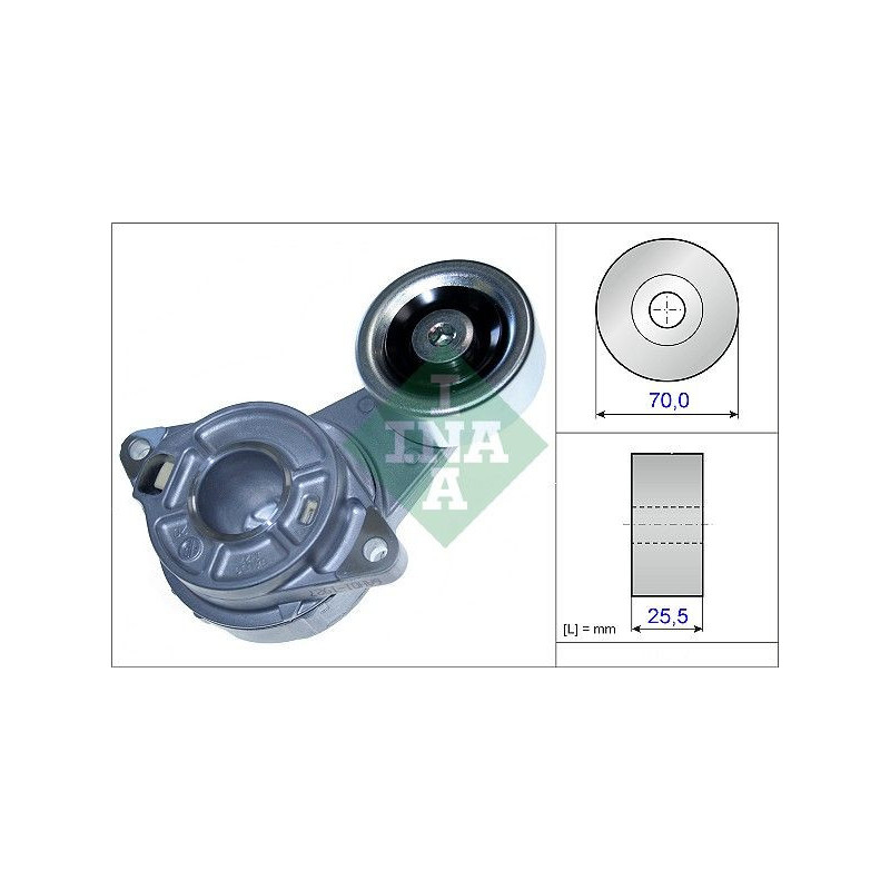 Tendicinghia trapezoidale - INA