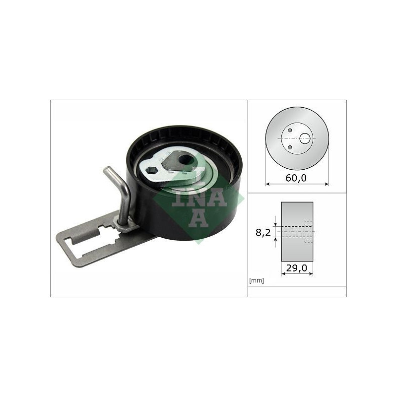 Tendicinghia distribuzione - INA