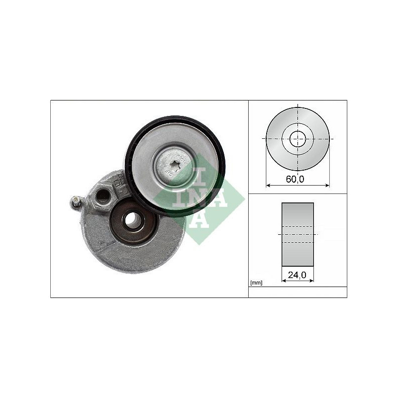 Tendicinghia trapezoidale - INA
