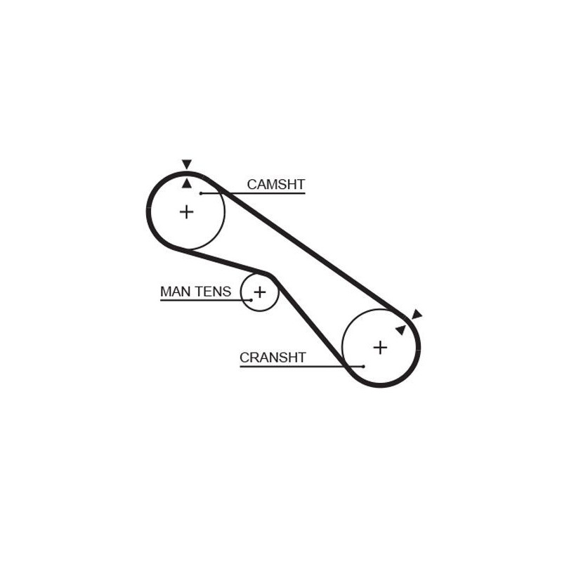 Cinghia/catena distribuzione - GATES
