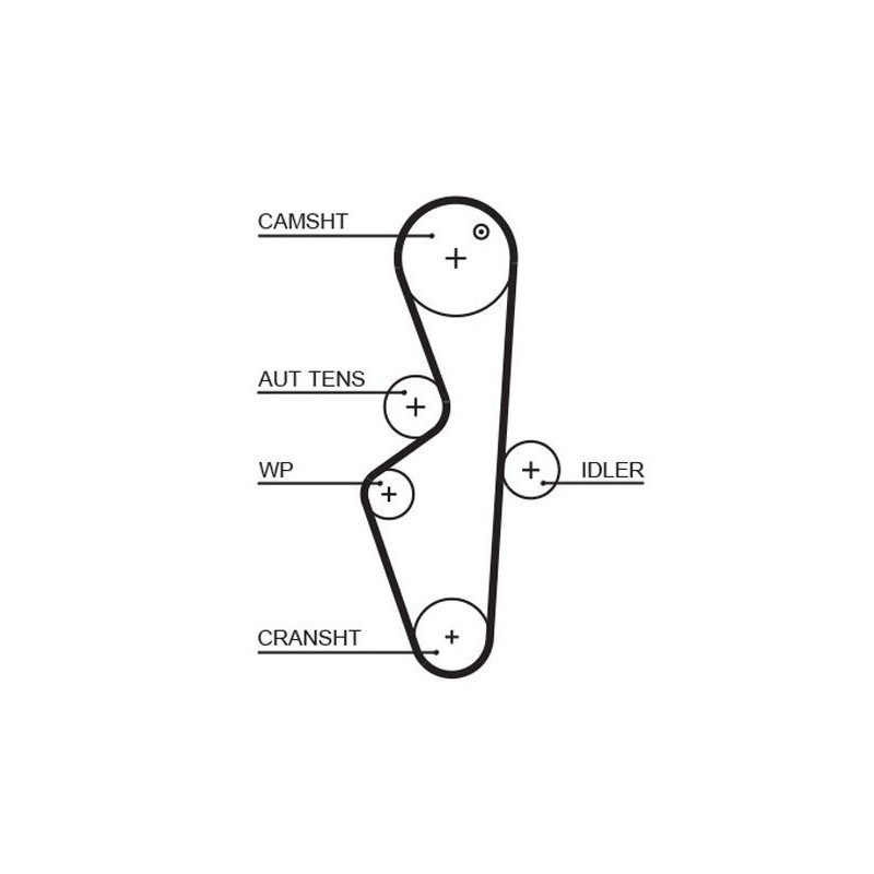 Cinghia/catena distribuzione - GATES