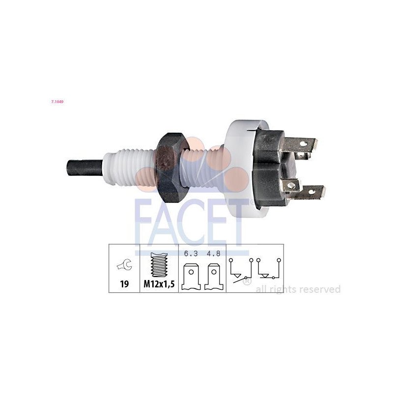 Tendicinghia trapezoidale - FACET