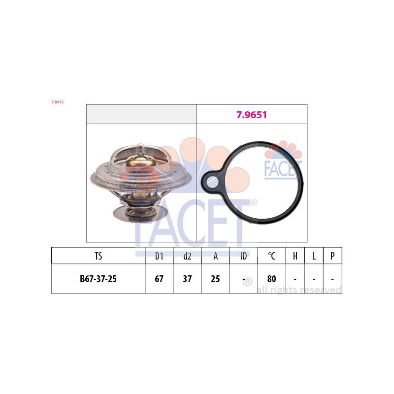 Termostato raffreddamento - FACET