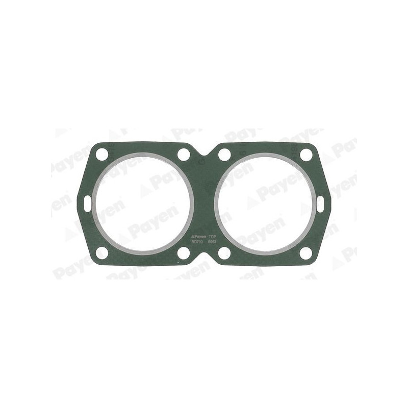 Guarnizione testata - PAYEN