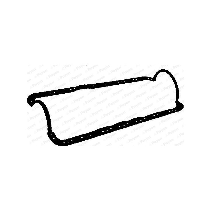 Tendicinghia trapezoidale - PAYEN