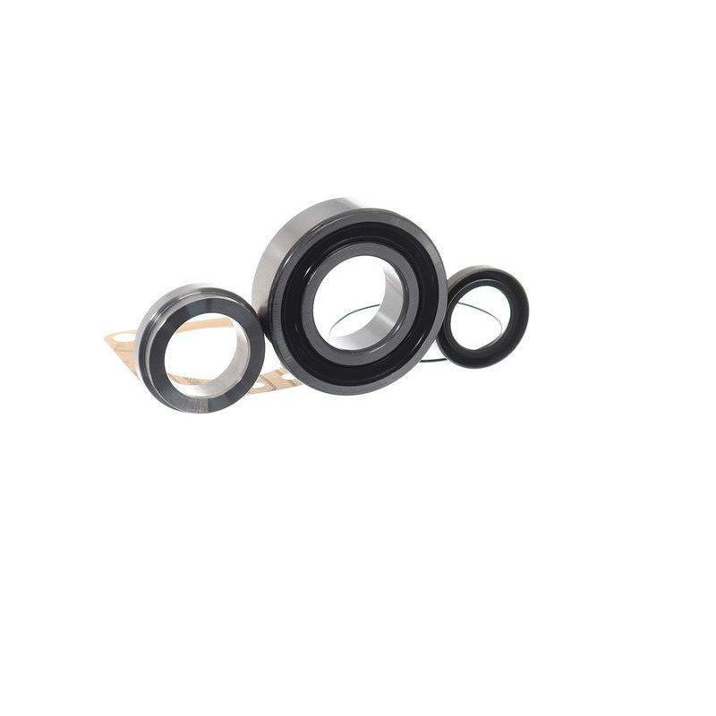 Supporto ammortizzatore asse posteriore - SKF