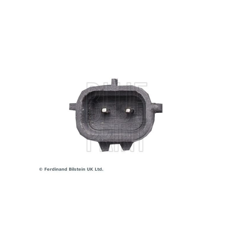 Lunotto - BLUE PRINT