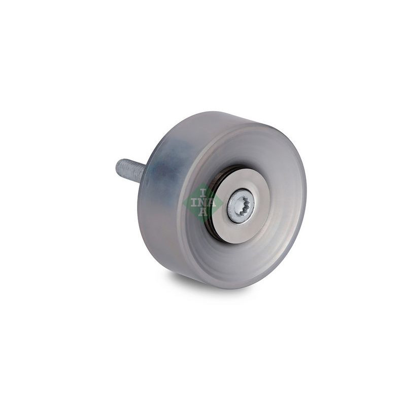 Tendicinghia trapezoidale - INA