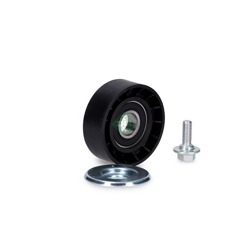 Tendicinghia trapezoidale - INA