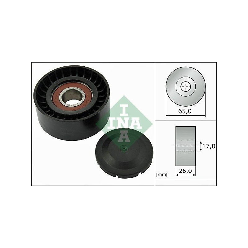 Tendicinghia trapezoidale - INA