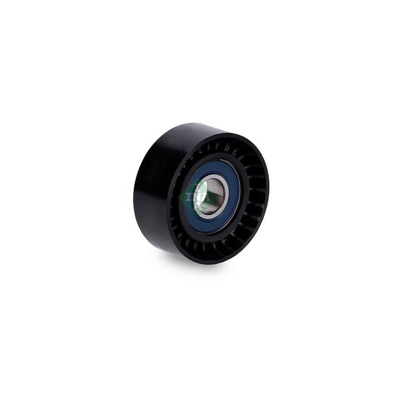 Tendicinghia trapezoidale - INA