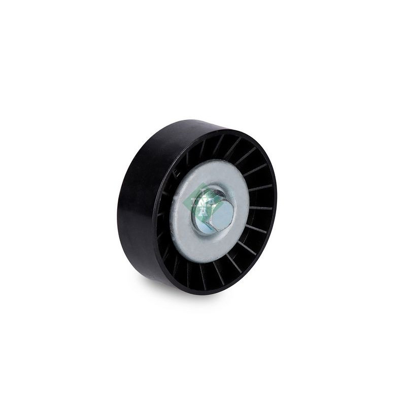 Tendicinghia trapezoidale - INA