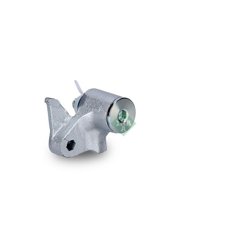 Tendicinghia distribuzione - INA