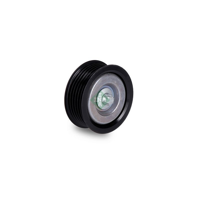 Tendicinghia trapezoidale - INA