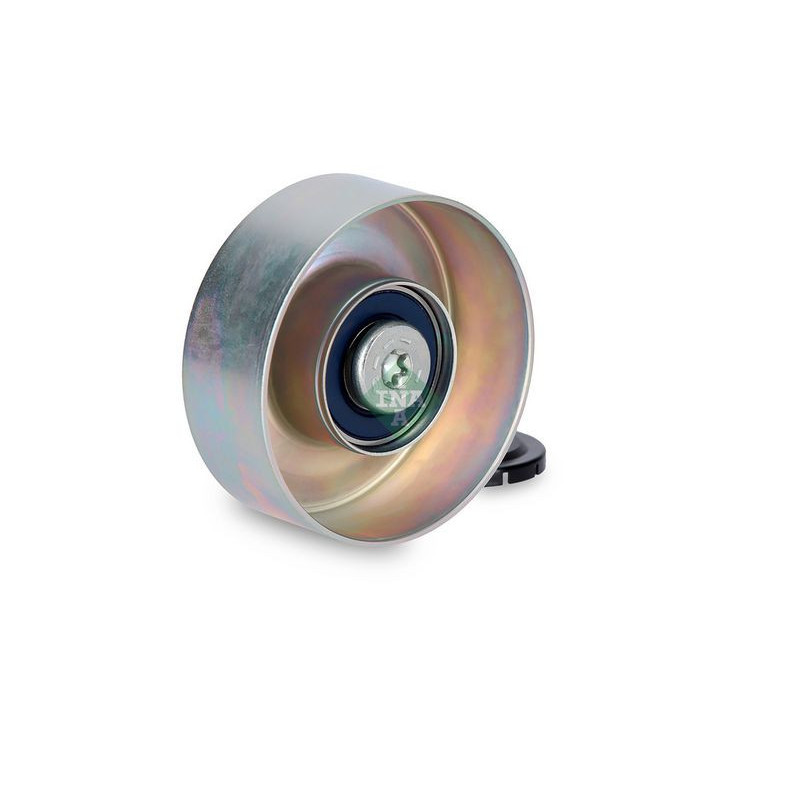 Tendicinghia trapezoidale - INA