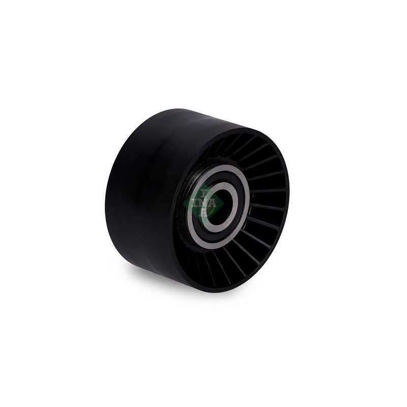 Tendicinghia trapezoidale - INA