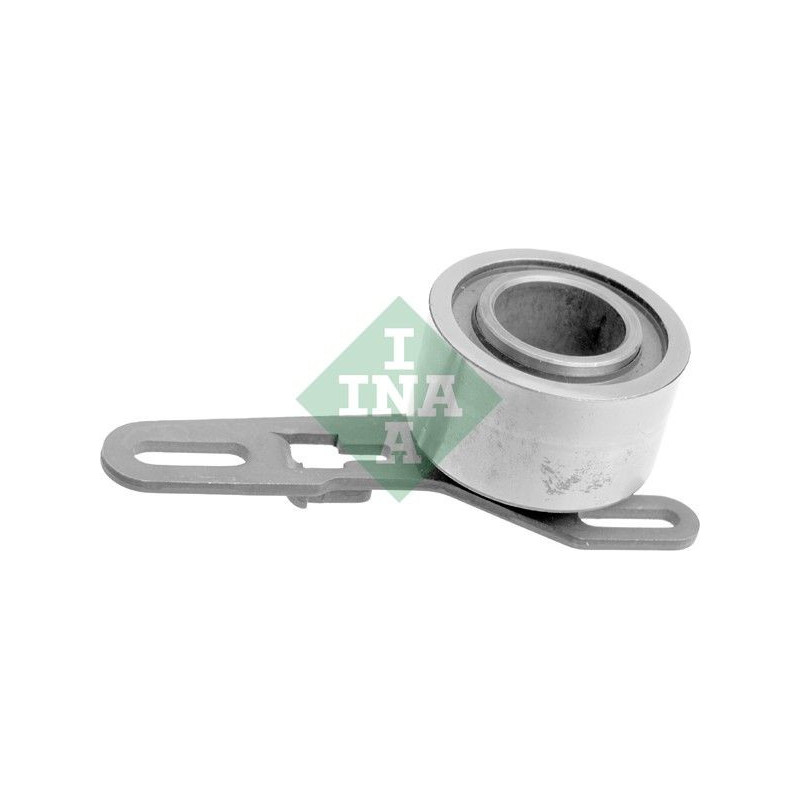 Tendicinghia distribuzione - INA