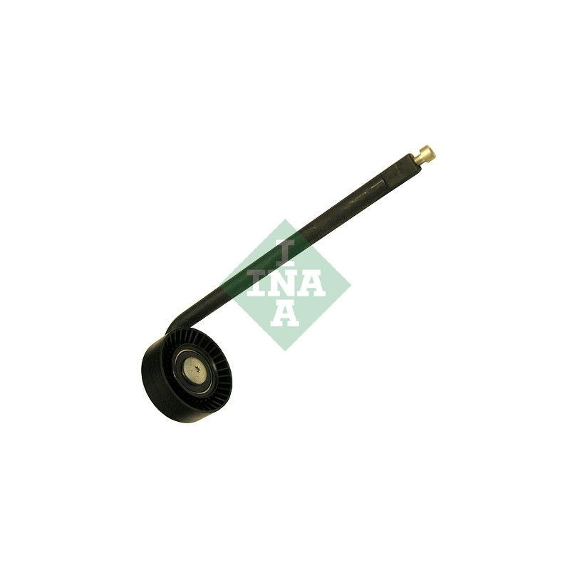 Tendicinghia trapezoidale - INA