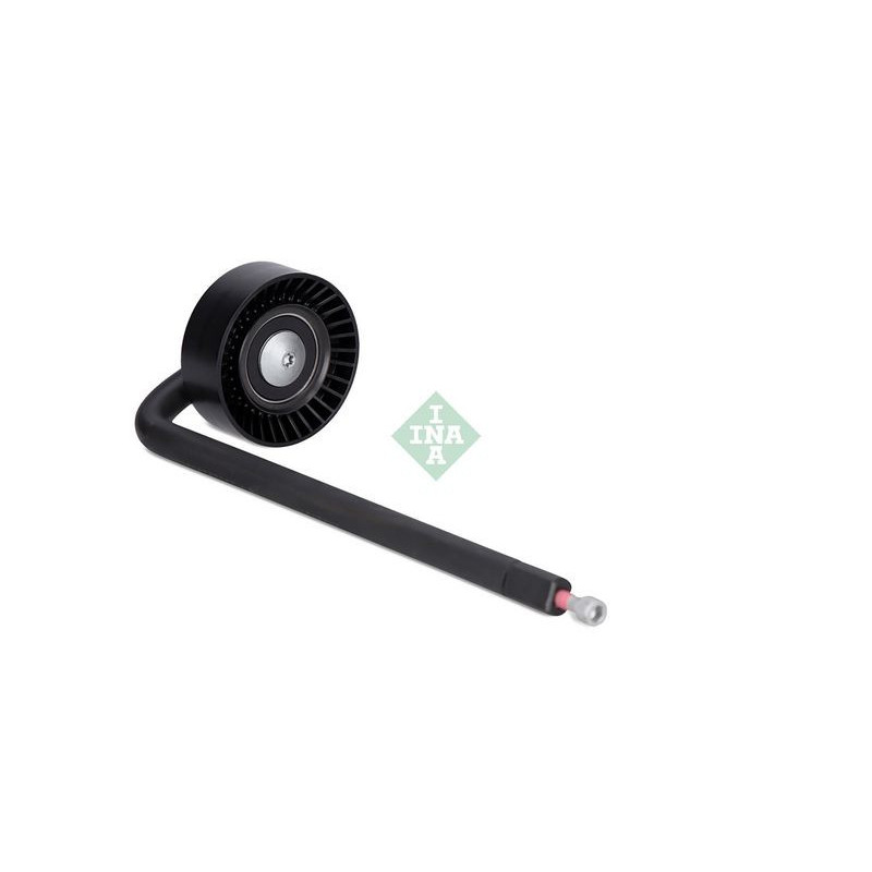 Tendicinghia trapezoidale - INA