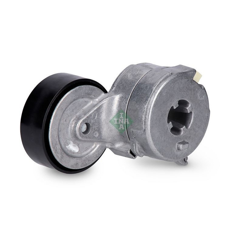 Tendicinghia trapezoidale - INA