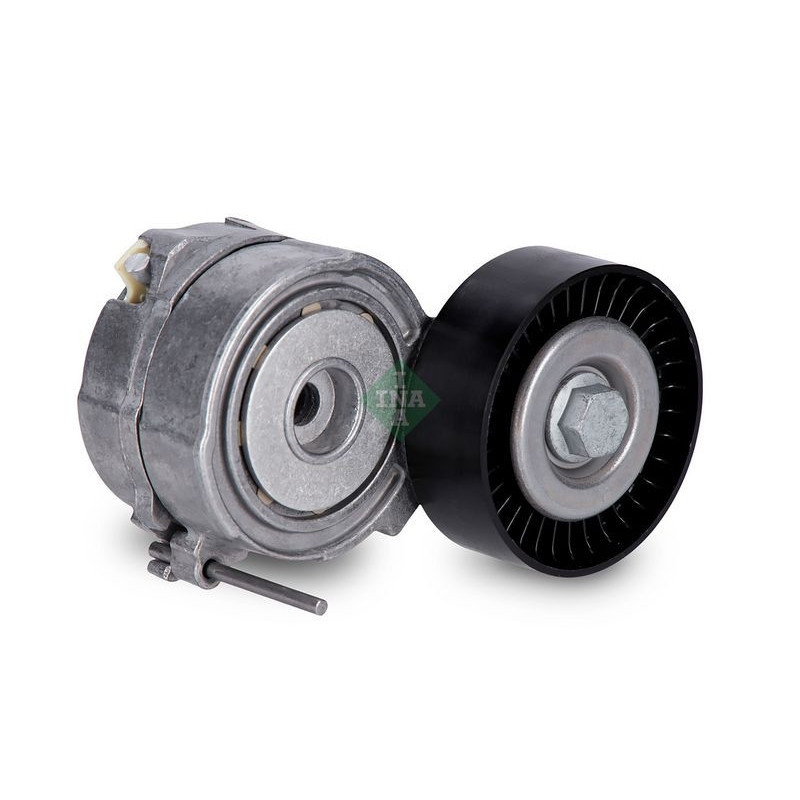 Tendicinghia trapezoidale - INA