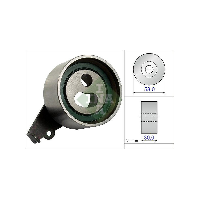 Tendicinghia distribuzione - INA