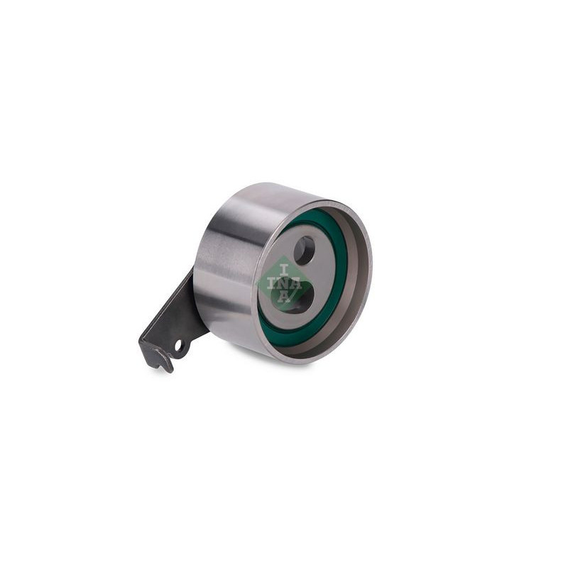 Tendicinghia distribuzione - INA