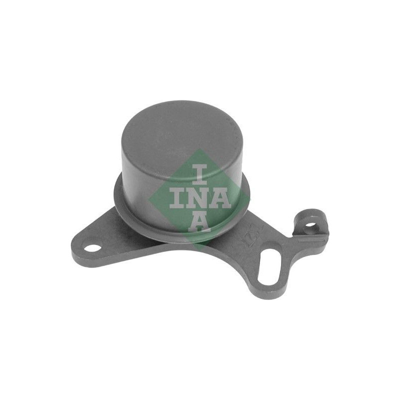 Tendicinghia distribuzione - INA