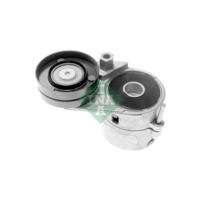 Tendicinghia trapezoidale - INA