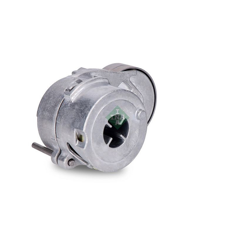 Tendicinghia trapezoidale - INA