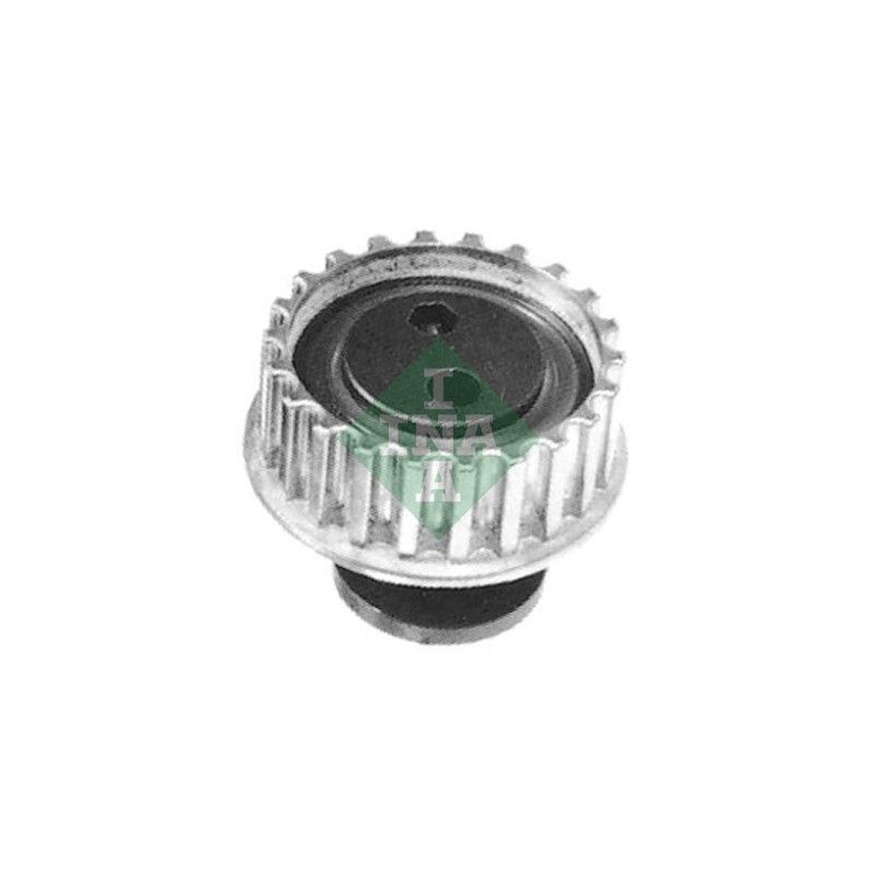 Tendicinghia distribuzione - INA