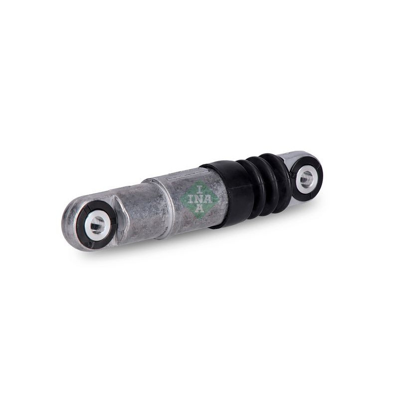 Tendicinghia trapezoidale - INA