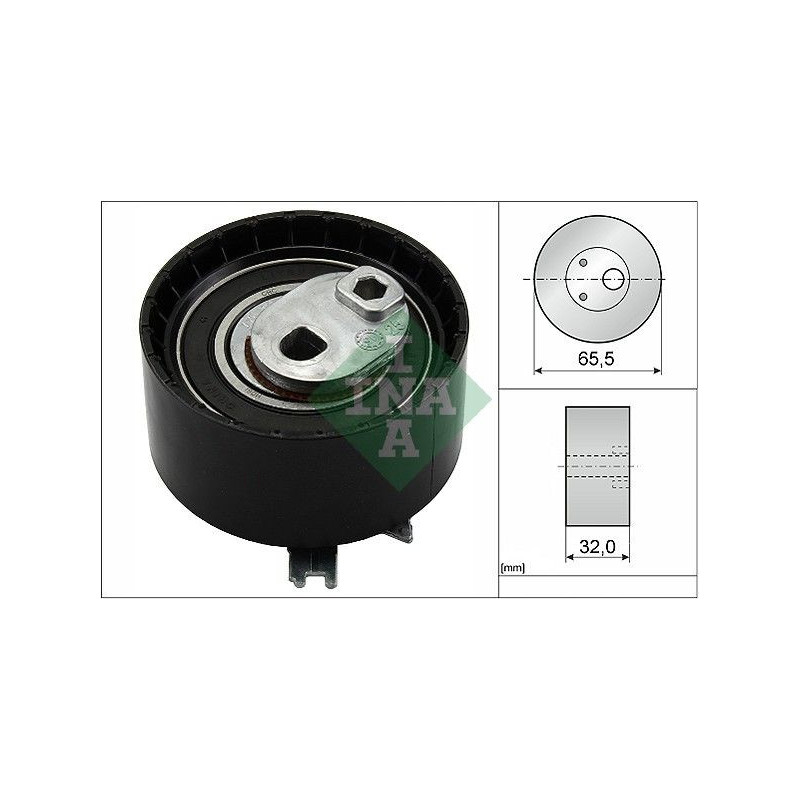 Tendicinghia distribuzione - INA