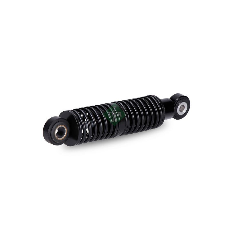 Tendicinghia trapezoidale - INA