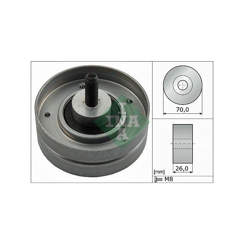 Tendicinghia trapezoidale - INA